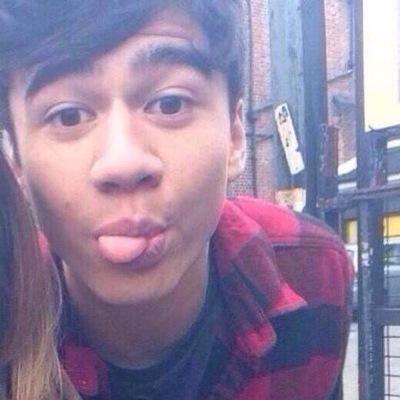follow @lashtonspuppy