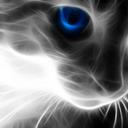 Elliot Miles - @Elliot_Miles123 - Twitter