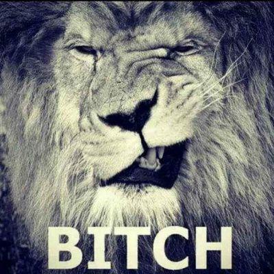 12//girl// love twitter//when you follow than i will follow you// folgst du mir folg ich dir