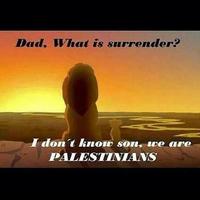 yunus elias (@eliasy) 's Twitter Profile