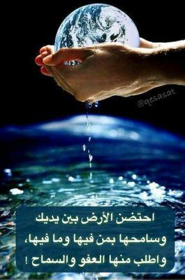 aboali533's profile picture. 