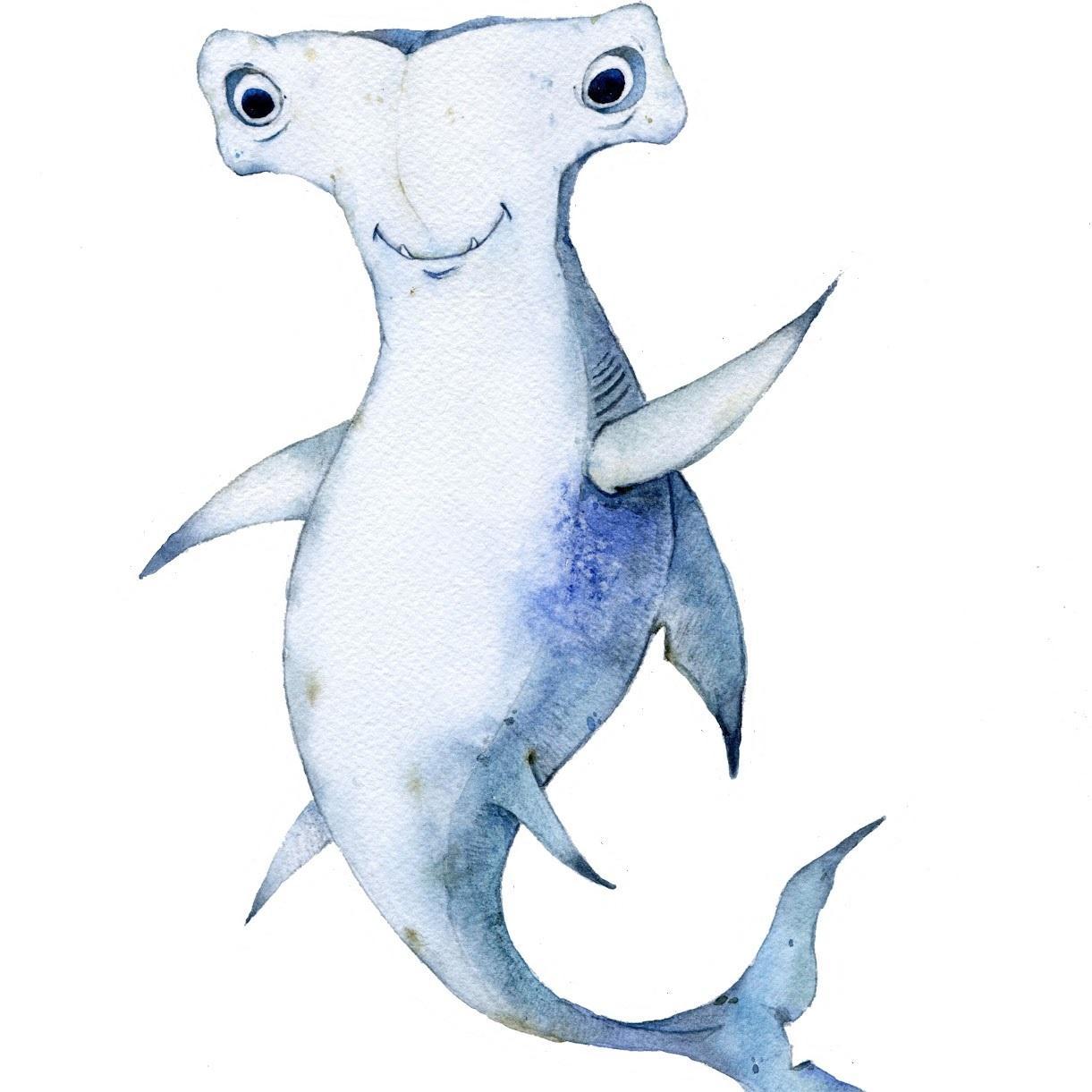 TheSharkStanley's profile picture. #SharkStanley and his friends are promoting shark conservation and connecting young people around the globe // Take a pic & look for us at #CITES #Cop17