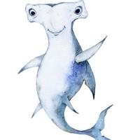 Shark Stanley (@thesharkstanley) 's Twitter Profile