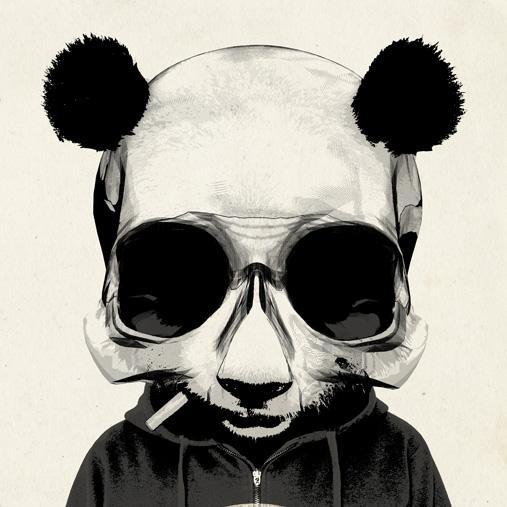 zrno_smisla's profile picture. 