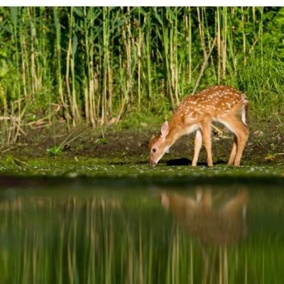 sweetestbird2's profile picture. 