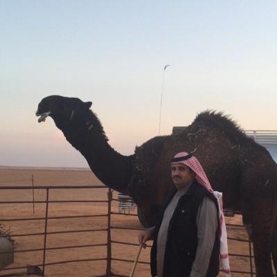 من ذاق في دنياه حلو المشاريب . لا يحسب اوقات السعاده مقيمه. العمر رحله والمواقف تجاريب . ومن لا استفاد من التجارب مصيبه