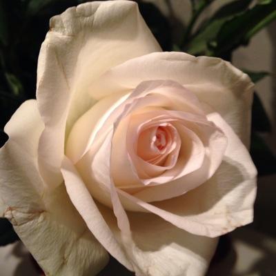 claire1592's profile picture. 