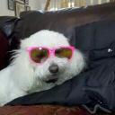 Bill Wise - @e55e793f7fa749d - Twitter