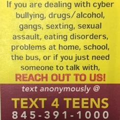 If you're dealing with cyber bullying, drugs/alcohol, sexting, sexual assault, problems at home, school, or on the bus Reach out to us! Text 845-391-1000.