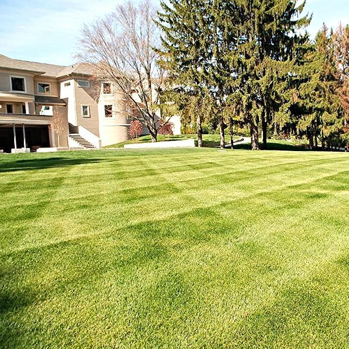 We specialize in -Grade Work and Soil Erosion Control, Sod Delivery, Sod Installation Yard Tear up and Debris Disposal Landscape Design &  Installation