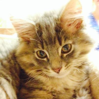 ScheininB's profile picture. 