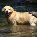 Stephen Rall - @RallStephen - Twitter