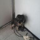 Eric Rodrigo Flores  - @Ericrod1118 - Twitter