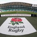 Dan Witt - @WittDan - Twitter