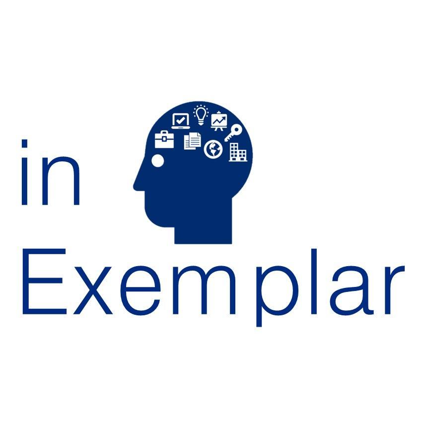 Small Business Consultant #inExemplar