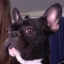 _Zesty_Ranch's profile picture. 