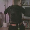 Marvin Petersen - @c81b88358cdd488 - Twitter