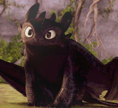 Hhhhhwwwi?~ *Toothless tried to say 'hi' as he tilted his head to the side curiously*