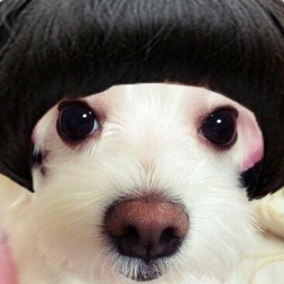 세상 관찰자, 나누며 살자가 모토.
