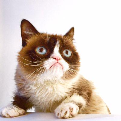 AlbersEsther's profile picture. getrouwd 1zoon werk met mensen met een n.a.h lees graag