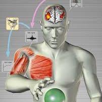 arif1769's profile picture. 