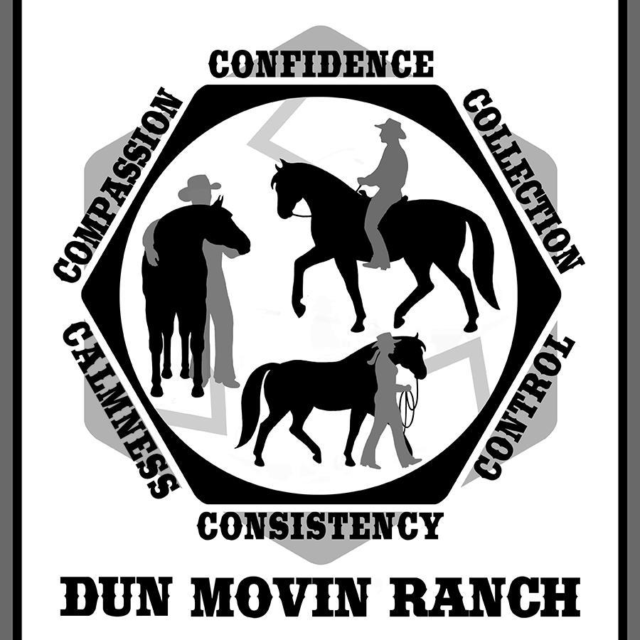 dunmovinranch's profile picture. Michael Guerini - Horsemanship, horse coaching, Horse Training Books, and the Equine Hydro-T for injuries and bathing (http://t.co/NWqMC36O3I).