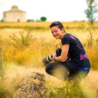 Vir Pintado (@virpintado) 's Twitter Profile
