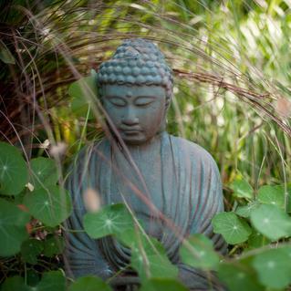 “One moment can change a day, one day can change a life and one life can change the world” 
― Gautama Buddha