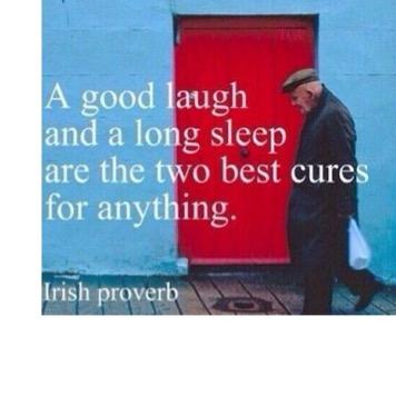 mommafuff's profile picture. 