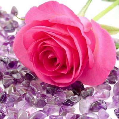 seyyidnu's profile picture. 