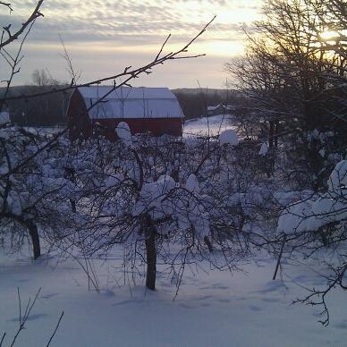 logcabinorchard's profile picture. 