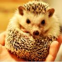 Kris Jansen - @JaenKris - Twitter