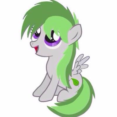 Hi there! Name is Leafy. Friendly&Cuddley. Wish that one day I'll join the Wonderbolts! Mother: @Mlp_Snowwinter