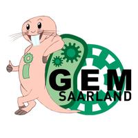 iGEM Saarland (@igemsaarland) 's Twitter Profile