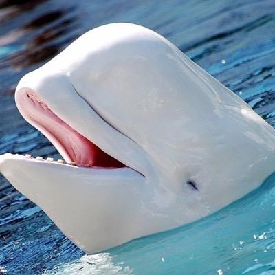 abobby4you's profile picture. 