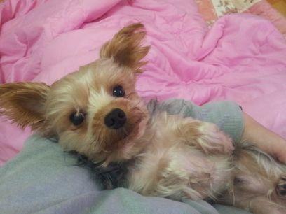 youngh_ahn's profile picture. 하늘을 보자