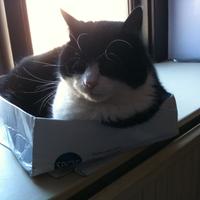 Falmai'r Gath (@falmaig) 's Twitter Profile Photo Falmai'r Gath (@falmaig) 's Twitter Profile Photo