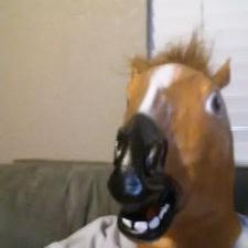 young4_ever's profile image