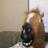 young4_ever's profile image