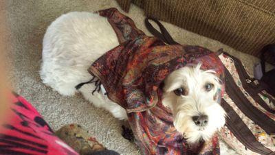 phonics1973's profile picture. I am just loving life, family and friends. Oh yeah, I like to laugh and flirt alot.