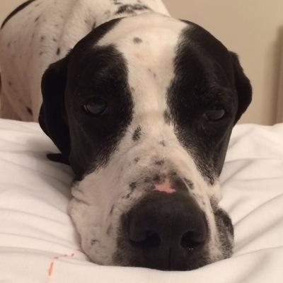 mickyems's profile picture. 