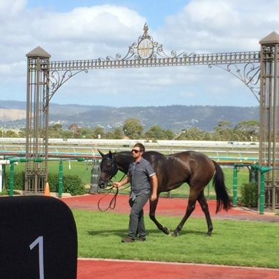 Mr Backchat - Sequalo / Cheeky Lindy 2010 Burgerman Racing Syndicate - First time owners, Lifetime racing lovers!