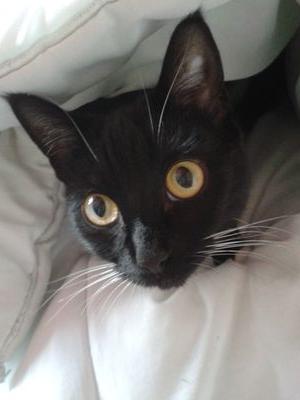 BunjieShine's profile picture. loves life and am where i should be