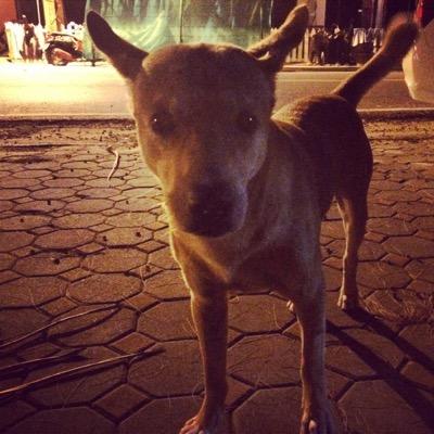 Kenny123s's profile picture. 