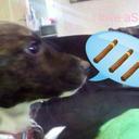 connor hynes - @hynesconnor - Twitter