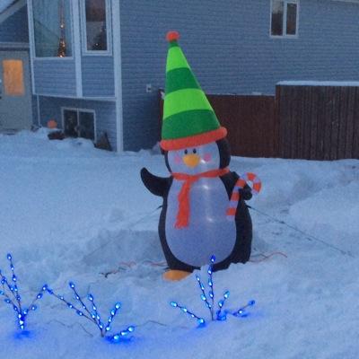 BenkoCatherine's profile picture. 