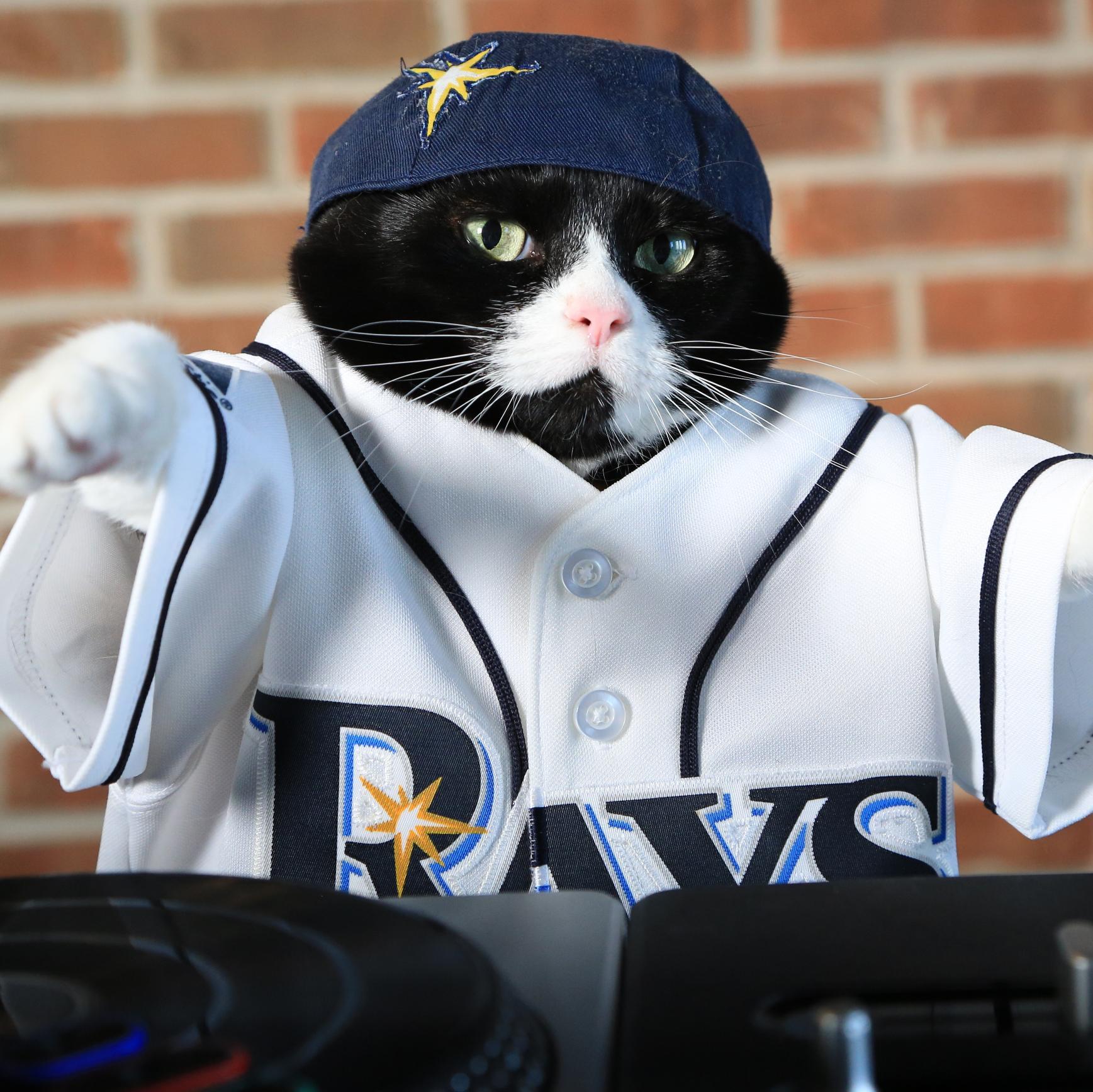 Yo I'm DJ Kitty- the Tampa Bay Rays Rays official DJ.  I play the Hits, I watch the Hits and I'm the coolest DJ you know. #kittyswag