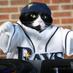 DJ Kitty (@raysdjkitty) Twitter profile photo DJ Kitty (@raysdjkitty) Twitter profile photo