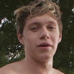 hii please retweet this https://t.co/XjgBW6k1lT and maybe follow @niallsspizza :)