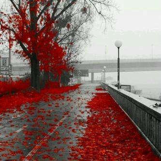 bkbkbk6464's profile picture. وحيد ...